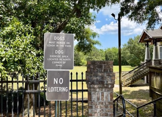 Mother Matilda Beasley Dog Park photo 1